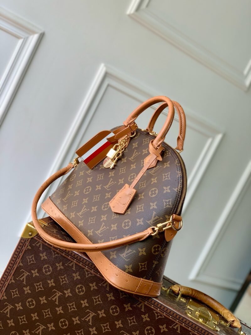 IMG_1680 Louis Vuitton Bags Model:N30049