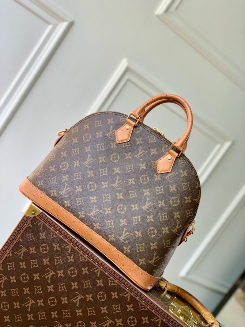 IMG_1681 Louis Vuitton Bags Model:N30049