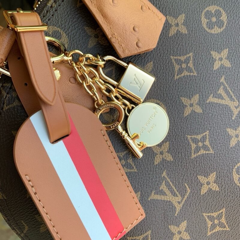 IMG_1683 Louis Vuitton Bags Model:N30049