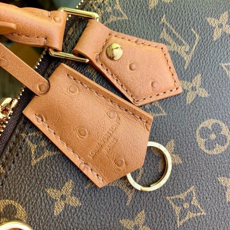 IMG_1684 Louis Vuitton Bags Model:N30049