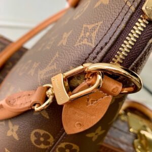 IMG_1685 Louis Vuitton Bags Model:N30049